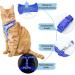 Supet Cat Dishes & Leash Set - Faith-Safe Kittens Crockery | International Shipping Available - Buy Online on GoSupps.com