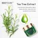 BREYLEE Tea Tree Oil Acne Treatment Cream - Clear Severe Breakouts, Remove Pimples, Repair Skin - 20ml - Buy Online on GoSupps.com