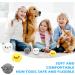 Molbory 3-Piece Plush Cat Balls | Interactive Sound Toy for Kittens | Soft Cat Balls for Play & Engagement - Buy Online on GoSupps.com