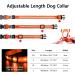 Masbrill LED Dog Collar - Luminous Waterproof Adjustable Safety Band with 3 Flashing Lights for Small Medium & Large Dogs (48-60cm / 19-23.6inch) - Orange - Buy Online on GoSupps.com