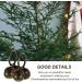 Extra Loud Eihi Cat & Dog Bells - 2 Set Tinkering Pet Tracker Collar Bells - Buy Online on GoSupps.com