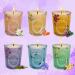 Scented Candles Gift Set - 6 Best Aromatherapy Scents | Long Lasting Soy Wax | Ideal for Home & Gifts - Buy Online on GoSupps.com