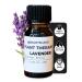 Brightscape Lavender Fragrance Oil for Waterless Diffusers - 0.33 fl oz - Long Lasting Luxurious Lavender Essential Oil Blend