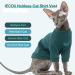 Iecoii Sphynx Litter Clothing | Soft Cotton T-Shirts & Sweaters for Hairless Cats | Stylish Apparel for Sphynx Cornish Rex Devon Rex Peterbald - Buy Online on GoSupps.com