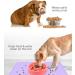 Toplory Waterproof Non-Slip Silicone Feeding Mat for Dogs & Cats - 53x37cm Purple Bowl Pad - Buy Online on GoSupps.com