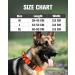Joytale Tactical Dog Collar for Large Dogs | Durable Orange Dog Collar with Handle & QR Code Tag | Shop Now! - Buy Online on GoSupps.com
