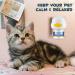 Cjztp Cat Calming Diffuser Enhanced Cat Pheromones Diffuser Starter Kit for 30 Days Supply Cat Anxiety Stress Relief to Reduce Fighting Scratching 48ml - Buy Online on GoSupps.com