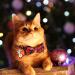 LLHK 4 Pack Christmas Cat Collars with Bow Tie and Bell | Adjustable for Girl Boy Cats | Breakaway Kitten Collar | Pet Supplies for Kitty Kitten Adult Cats - Buy Online on GoSupps.com