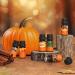 Autumn Fragrance Oil Set - ARVIDSSON Essential Oils for Diffuser & Candle Making | Pumpkin Spice Cinnamon Spiced Cider & More - Buy Online on GoSupps.com