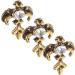 PACKOVE Tooth Gems Kit 15 Pcs Retro Retro Decor Cosplay Grill Teeth Grills Crystal Stone European and American - Buy Online on GoSupps.com