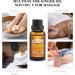 Ownest 3 Pack Ginger Massage Oil - 100% Pure Natural Lymphatic Drainage Oil | SPA Relaxation & Cold Relief - 30ml - Buy Online on GoSupps.com