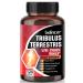 NEWCHEERS Tribulus Terrestris 800mg Workout Supplement Increased Energy 120 Capsules