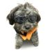 Enjoying Dog Sunglasses Small Breed Dogs Goggles UV Protection Eye Wear Windproof Anti-Fog Pet Glasses for Doggy About Over 5 lbs, Black