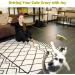 MeoHui 2PCS Retractable Cat Wand Toy + 9PCS Feather Refills - Interactive Kitten Toy for Chase & Exercise - Buy Online on GoSupps.com