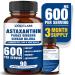 Astaxanthin 15mg + Panax Ginseng Ginkgo Biloba Supplements 90 Vegan Capsules Promotes Eye Skin Joint Health Energy Cardiovascular Support + Immune Defense Focus Memory and Mental Performance