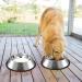 Stainless Steel Dog Bowls with Rubber Bases | Pet Feeder Bowls - Small, Medium, Large Sizes | 19.6oz Capacity - Buy Online on GoSupps.com