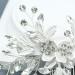 PTORIZNY Wedding Rhinestone Hair Comb Crystal Bride Hair Combs Flower Side Hair Combs Leaf Headpiece Bridal Hair Accessories for Women and Girls (Silver) - Buy Online on GoSupps.com