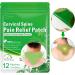 24pcs Natural Herbal Flexiknee Relief Patches for Knee, Back, Neck, and Shoulder Care - Buy Online on GoSupps.com