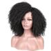 Lady Miranda Afro Short Kinky Synthetic Curly Wigs for Black Women - Natural and Stylish - Buy Online on GoSupps.com