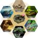 Durable Resin Reptile Food and Water Bowl for Snakes, Frogs, Geckos, Tortoises, Lizards, and Chameleons - Buy Online on GoSupps.com