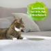 Bactador Enzyme Cleaner 3L - Powerful Odor & Stain Remover for Home & Pets - Microbiological Neutralizer & Deep Cleaning for Dog Urine - Buy Online on GoSupps.com