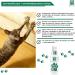 MENFORSAN Scratch and Bite Spray for Cats - 60 ml Natural Training Solution | Prevent Scratching & Biting - Buy Online on GoSupps.com