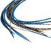 Real Feather Hair Extensions - Blue Auburn (10 Feathers)