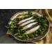 Buy La Quiberonnaise Habanero Sardines 12x115g - Spicy Gourmet Snack | International Shipping - Buy Online on GoSupps.com