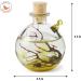 Shrimp Bubble Self-Sustaining Ecosystem in Amber - Eco-Friendly Home Decor - Buy Online on GoSupps.com