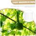 BCOATH 4pcs Shaped Acrylic Reusable Molds Fruit Planting Shaping Melon Small Fruit - Buy Online on GoSupps.com