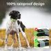 Masbrill LED Dog Collar - Waterproof Luminous Adjustable Safety Band for Small Medium & Large Dogs 3 Flashing Lights Green (48-60cm) - Buy Online on GoSupps.com