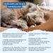 Itiko Urinary Cat Food - Wet Dietary Supplements for Urinary Tract Health & Low pH | Cranberries Rosemary & Sodium Chloride - Buy Online on GoSupps.com