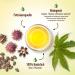 Organic Castor Oil 150ml - 100% Pure Cold Pressed for Eyelashes Eyebrows Hair & Beard - Natural Beauty Essential - Buy Online on GoSupps.com