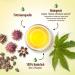 Buy Organic Castor Oil 900ml - 100% Pure & Cold Pressed for Hair Eyelashes Beard & Nails - Natural Care - Buy Online on GoSupps.com