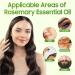 100% Pure Natural Rosemary Oil - Multipurpose Hair Oil for Growth Nourishing Scalp & Strengthening Hair - Buy Online on GoSupps.com