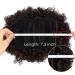 Short Kinky Curly Synthetic Afro Puff Ponytail Extension 4# (90g) - Large Updo Hair Bun Chignon Clip-In Wig - Buy Online on GoSupps.com