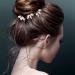 10-Piece Gold Crystal Wedding Hair Pins for Bride & Bridesmaids - Buy Online on GoSupps.com