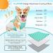 Hjyokuso Dog Cooling Vest - Summer Cooling Jacket for Small Medium & Large Dogs | Perfect for Outdoor Activities & Training | L Blue - Buy Online on GoSupps.com