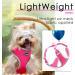 Thinkpet No-Pull Dog Harness & Leash Set - Breathable Adjustable & Reflective Safety Harness for Small Medium & Large Dogs | Soft Comfortable & Safe - Pink/Red (1 Pack) - Buy Online on GoSupps.com