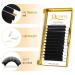 Quewel Self-Fermenting Eyelashes - 0.07 C Curl Volume Extension 8-15mm | Easy Fan Lashes for Stunning Volume - Buy Online on GoSupps.com