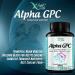 Alpha GPC Choline Supplement 600mg - 120 Veggie Capsules | Cognitive Enhancer & Nootropic | Supports Memory, Brain Function, Focus & Mood | Highly Purified & Bioavailable Source of Choline - Buy Online on GoSupps.com