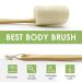 Shellvcase Loofah Back Scrubber on a Stick with Natural Sponge | Exfoliating Body Scrubber for Men & Women | Long Wooden Handle | 2 Pack - Buy Online on GoSupps.com