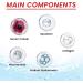  Nurvidis Face Serum Collagen Face Serum Collagen Bulb Collagen Booster Serum Collagen Lifting Bulb Reduces Wrinkles & Firms Skin Brightens Complexion Moisturize & Moisturize - Buy Online on GoSupps.com