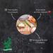 Bamboo Tree Rice Paper 31 cm - 340 g (Spring Roll Wrappers) - Buy Online on GoSupps.com