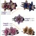 5 PCS Double Flower Rhinestone Hair Clips - Elegant Hair Accessories for Women - Crystal Thick Hairpins (Large) - Flower Color Options Available - Buy Online on GoSupps.com