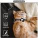 Reflective AirTag Cat Collar with Bell - GPS Leather Collar for Girl Boy Cats & Kittens 7-9 Inch - Integrated Apple AirTag Holder - Blue - Buy Online on GoSupps.com