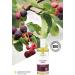 Greenendoor Natural Cosmetics Massage Oil Berry 100ml | Vegan Silicone-Free Fruity Fragrance for Romantic Moments | Perfect Gift - Buy Online on GoSupps.com