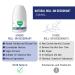 Siveno All Natural Deodorant Roll-On | Aluminum Free Deodorant for Men | Organic Vegan | Fresh Non Staining Non Irritating | Cruelty Free Non Toxic Paraben Free | Men Pack of 1 Men 1.76 Fl Oz (Pack of 1) - Buy Online on GoSupps.com