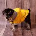 Medium Yellow Dog Raincoat Jacket with Zip-Up Hoodie | Water Resistant Stylish Dog Raincoats - Buy Online on GoSupps.com