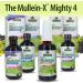 Nature's Answer Mullein-X Kids Cough Syrup 4oz | Soothes Coughs Clears Mucus & Supports Respiratory Health | Non-GMO Gluten-Free Natural Honey Flavor - Buy Online on GoSupps.com